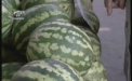 Atentie! Intoxicatii cu pepene verde. Medicii recomanda sa cumparam alimente doar din locuri autorizate
