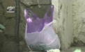 S-a gasit mama copilului descoperit mort intr-un bloc din Rascani!