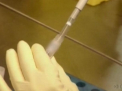 Un roman suspectat de Ebola a pus pe jar autoritatile romane. Ce au descoperit medicii in urma investigatiilor