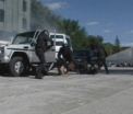 "Pantera" in actiune! AFLA cum sa te protejezi de hotii de automobile
