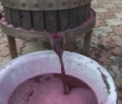Sfaturi din batrani. Care e formula perfecta pentru un vin gustos si aromat