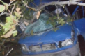 A pierdut controlul volanului si s-a lovit intr-un copac. Accident tragic in Falesti. FOTO