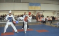 Pumni, picioare si procedee fantastice! Cum s-a desfasurat Cupa ambasadorului Coreei la taekwondo