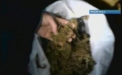 Droguri la pahar. Retinuti pentru ca au incercat sa vanda MARIJUANA de 100 de mii de lei. VIDEO