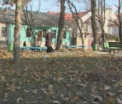 Daca va asteptati ca peste doua zile sa vina iarna, aflati ca vine primavara! Ce vreme ne asteapta