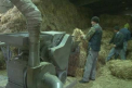 Au renuntat la lemne si se incalzesc cu paie. Produsul este mai ieftin si suta la suta ecologic