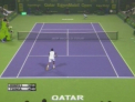 Jo-Wilfried Tsonga a castigat turneul de tenis de la Doha!
