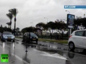 VIDEO. Participant neobisnuit la trafic intr-un oras din Israel. Momentul in care o pasare Emu fuge printre masini