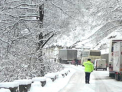 In atentia soferilor! Ministerul Transporturilor cere suspendarea curselor spre Romania