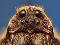 Galerie FOTO. Cum au fost realizate aceste fotografii incredibile. Si tu le-ai putea face