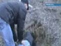 Prins dupa doi ani! A omorat o femeie si a ascuns cadavrul intr-o vizuina de vulpe