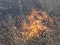 Arde Moldova! Zeci de hectare de vegetatie au fost incendiate de persoane necunoscute!