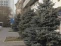 Anul acesta va fi mai fierbinte decat 2011! Cum va fi vremea de Paste? Vezi prognozele meteorologilor