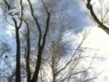 Vremea se strica! Meteorologii anunta cod galben si portocaliu de vant