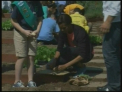 Zarzavaturile primei doamne! Michelle Obama planteaza, din nou, legume in curtea Casei Albe