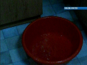 Le ploua in casa. In loc sa stea la masa de Paste, cativa locatari au strans apa in lighean