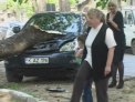 Masina facuta zob dupa ce un copac a cazut peste ea! Soferul: Voi cere despagubiri de la Spatii Verzi