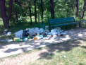 Frigarui plus multa bere egal cu...foarte mult gunoi. Cum arata dupa weekend un parc din capitala.FOTO