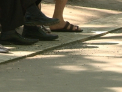 Pe craii de la "rasarita" nu-i sperie nici amenzile. Parcurile din capitala, invadate de coji de seminte