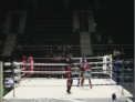 3 medalii de aur, 3 de argint si una de bronz le-au revenit sportivilor moldoveni la un Campionat de K-1