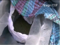 VIDEO. A vrut sa vanda un sac cu marijuana, insa a fost deconspirat