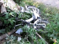VIDEO. Calatorie tragica. Un motociclist a murit dupa ce s-a izbit cu viteza intr-un copac