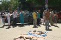 Trei caini morti in fata primariei! Protestatari: Primaria i-a otravit! Ce replica a avut Chirtoaca