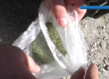 Politist de frontiera, retinut in timp ce incerca sa vanda marijuana. VIDEO