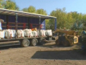 Dupa ani buni, scapa de otrava! Peste 20 de tone de pesticide, evacuate din raionul Causeni