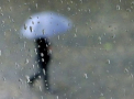 Toamna isi intra in drepturi. Meteorologii au emis cod galben de ploi