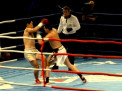 Show sangeros in capitala. Dorel Cristian a castigat turneul de K-1 K.O.K. World Grand Prix 2012