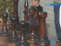 Politia a gasit caii, dar nu pe cei de pe tabla de sah din scuarul Catedralei! Pe cine au prins oamenii legii