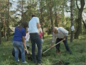 Au plantat copaci si flori la Azilul de Batrani in cadrul actiunii Gradina Solidaritatii!