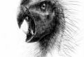 VIDEO. A fost identificata o noua specie de dinozaur. Cum arata si cu ce se hranea fiorosul "Dracula"