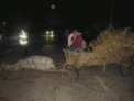 Viteza l-a ucis. Un tanar a murit dupa ce s-a izbit cu scuterul intr-o caruta. FOTO si VIDEO