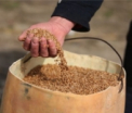 Romania ne ofera 500000 de euro pentru recensamantul agricol