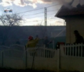 Incendiu in satul Cojusna! O casa a fost mistuita de flacari