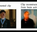 Vom putea inregistra visele pe VIDEO si ne vom citi gandurile. Vezi un experiment extraordinar