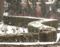 Meteorologii au emis o noua avertizare. Este cod portocaliu de ninsori puternice, viscol si troiene in sudul si centrul tarii - VIDEO
