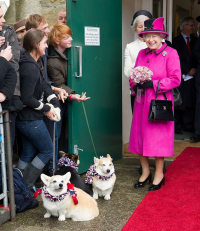 Imagini Nemaivazute Cu Regina Elisabeta A Ii A Si Printul Philip Cum Arata Cuplul Regal Britanic In Tinerete