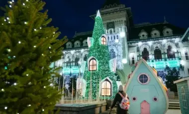 Germanii nu mai așteaptă decembrie: brazii de Crăciun sunt cumpărați încă din noiembrie pentru a prelungi atmosfera festivă - VIDEO