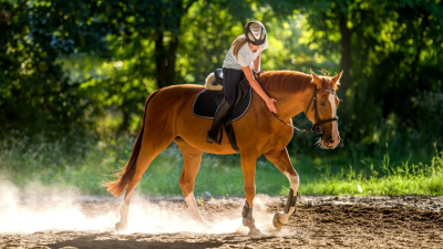 Hipismul sau echitatia este unul dintre cele mai vechi tipuri de sport. Vedem care sunt beneficiile pentru copii si adulti dar si ce inseamna hipoterapia