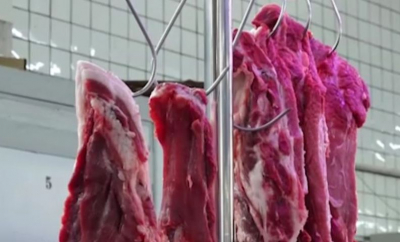 Responsabilii din cadrul ministerului Agriculturii admit că focarele de pestă porcină, depistate în utlimele săptămâni la două ferme mari din țară, ar putea afecta producția de carne - VIDEO