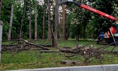 Atenție, șoferi. Circulația rutieră va fi parțial suspendată pe o stradă din capitală. Detaliile municipalității