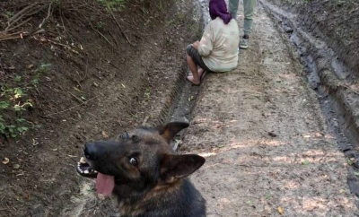 O femeie dată dispărută - găsită în viață după trei zile de căutări. Unde se afla aceasta - FOTO