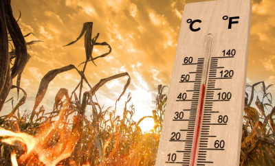 Val de caniculă sufocantă în sud-estul Europei. România și țările vecine, sub avertizări meteo - VIDEO