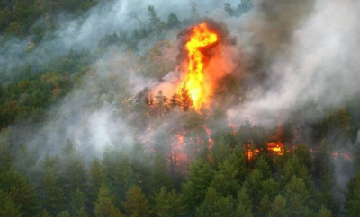 Macedonia de Nord declară stare de urgenţă din cauza incendiilor de pădure