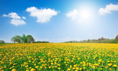 Maxime de până la 30 de grade. Cum va fi vremea astăzi, dar și în următoarele zile. Prognoza meteo
