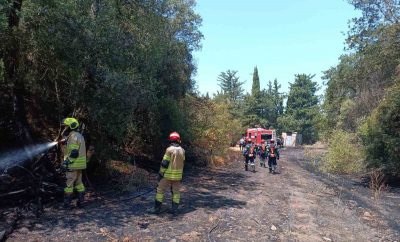 Prima intervenție a pompierilor moldoveni în Grecia: Un incendiu ce a afectat aproximativ 600 de hectare, stins cu succes lângă Patras

