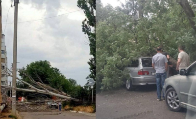 Copaci doborâți, crengi rupte și grindină. Ploaia și vântul puternic au făcut ravagii în mai multe regiuni ale țării - FOTO/VIDEO 